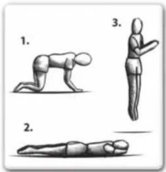 EXIT Elegant Economy 244 x 427 cm - AVANCERDEFAERDIGHEDER2:Haender og knae i knaefald - 1