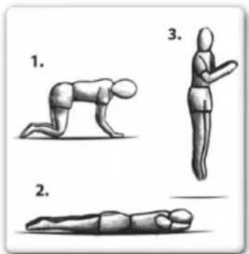 EXIT Elegant Economy 244 x 427 cm - TECHNIQUE AVANCEE 2 : Mains et genoux en tomber plat-ventre - 1