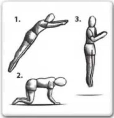 EXIT Elegant Economy 244 x 427 cm - AVANCERDEFAERDIGHEDER1:Grundlaeggende hop - 1