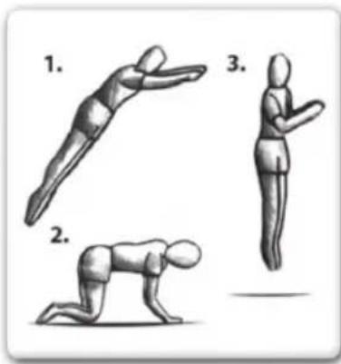 EXIT Elegant Economy 214 x 366 cm - TECHNIQUE AVANCEE 1 : le saut de base - 1