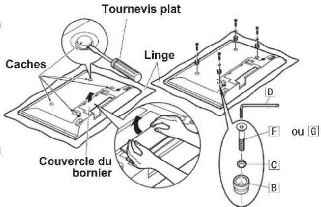 PANASONIC TYWK42PV4W - Remarque - 1
