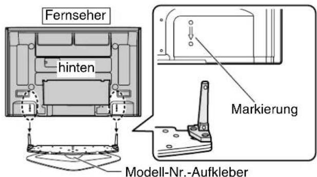PANASONIC TYST42PX500 - Die Stangen in die Öffnungen des Fernsehers einsetzen. - 1