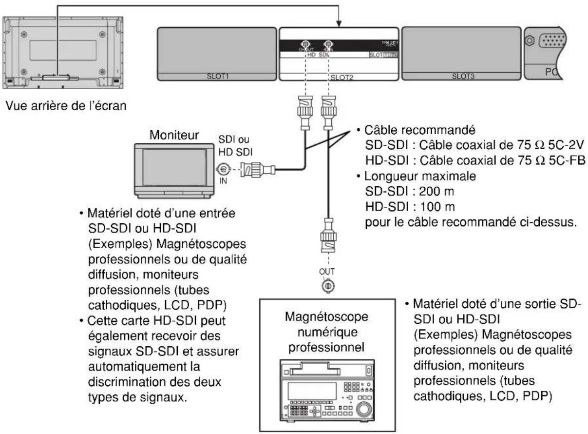 PANASONIC TYFB7HD - Raccordements - 1