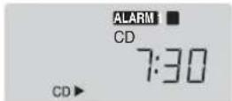 PANASONIC RCCD350 - Using the alarms - 7