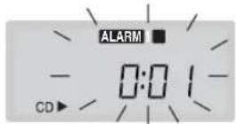 PANASONIC RCCD350 - Using the alarms - 4