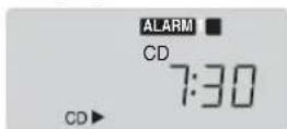 PANASONIC RCCD350 - Uso degli allarmi - 7