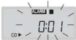 PANASONIC RCCD350 - Anvendelse af alarmerne - 4