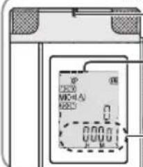 PANASONIC RRXS600 - Anzeige während der Aufnahme - 1