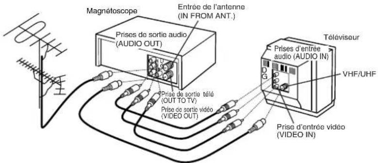 PANASONIC PVV4662 - Raccordement audio/vidéo - 1