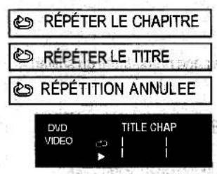 PANASONIC NVVHD1EE - Lecture avec le lecteur DVD - 1
