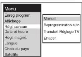 PANASONIC NVSJ412F - Lorsque les noms des chaînes et/ou numéros des chaînes ne sont pas correctement régés: - 1