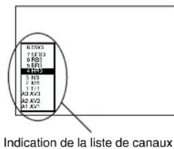 PANASONIC NVHS860F - Réglages pour l'option "Affichage" du menu principal - 2