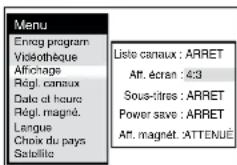 PANASONIC NVFJ712F - Pour que s'affichent automatiquement sur l'écran du téléviseur les informations sur la chaine, etc. - 1