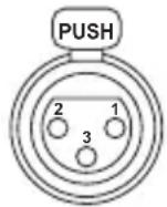 PANASONIC Lumix DMWYAGHE - AUDIO IN [CH1, CH2] terminals (XLR, 3-pin) - 1