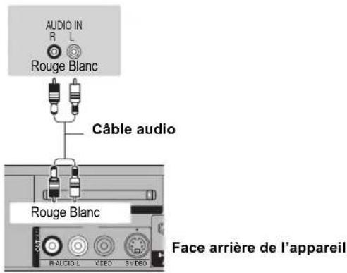 PANASONIC DMREX81 - Connexion à un amplificateur stéréo - 1