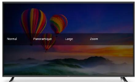 VIZIO E43F1 - MODIFICATION DU FORMAT DE CADRE DE LA TV - 2