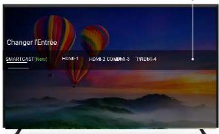 VIZIO E43F1 - MODIFICATION DE LA SOURCE DE L'ENTREE - 1