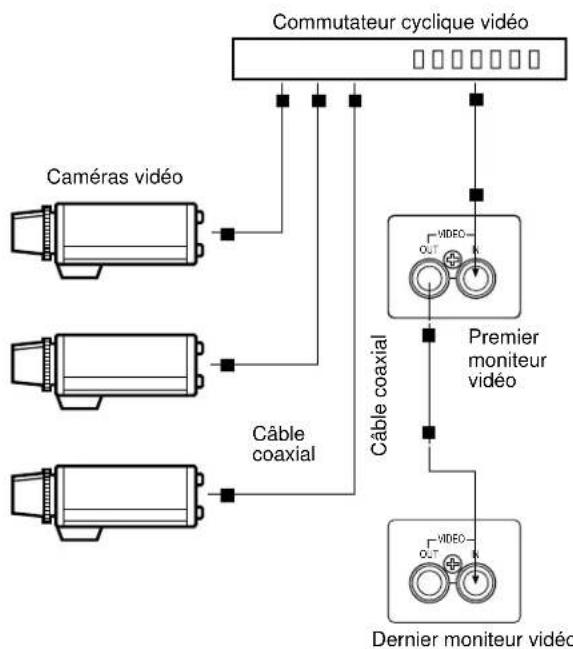 PANASONIC WVBM1910 - Raccordement de plusieurs moniteurs vidéo - 1