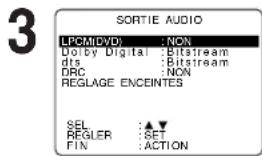 PANASONIC PVD4763SK - Sortie audio - 2