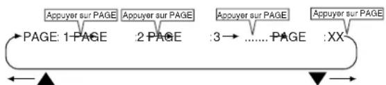 PANASONIC PVD4754SK - Saut d'images fixes (DVD-Audio seulement) - 2