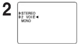 PANASONIC PVD4743SK - Mode audio pour l'enregistrement - 1
