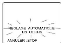 PANASONIC PVD4743SK - Canaux - 3