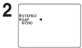 PANASONIC PVD4734SK - Audio Mode for Recording - 1