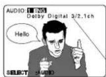 PANASONIC PVD4734SK - Audio Soundtrack Language (DVD only) - 1