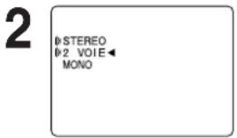 PANASONIC PVD4742K - Appuyer sur AUDIO (SAP/Hi-Fi) pour afficher le mode audio. - 1