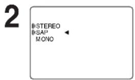 PANASONIC PVD4742K - Audio Mode for Recording - 1