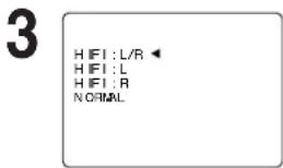 PANASONIC PVD4733SK - Press AUDIO (SAP/Hi-Fi) to display audio mode. - 1