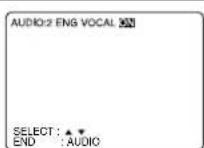 PANASONIC PVD4733SK - Vocal Selection for Karaoke Discs (DVD/Video CD) - 1