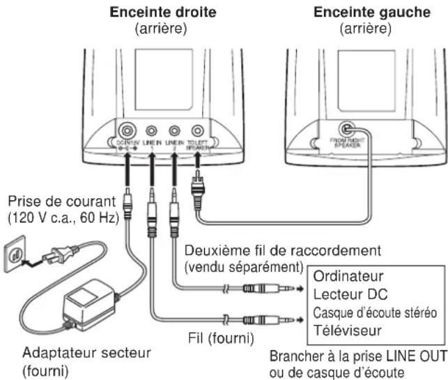 PANASONIC RPSP1000 - Raccordement - 1
