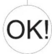 AMICA FK2965.3GAA - A gyártó nyilatkozata - 13