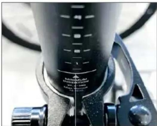 Argento Omega - Está tajantemente prohibido - 1