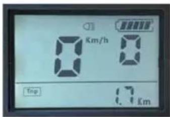 Argento Omega - Zarządzanie światłami - 1