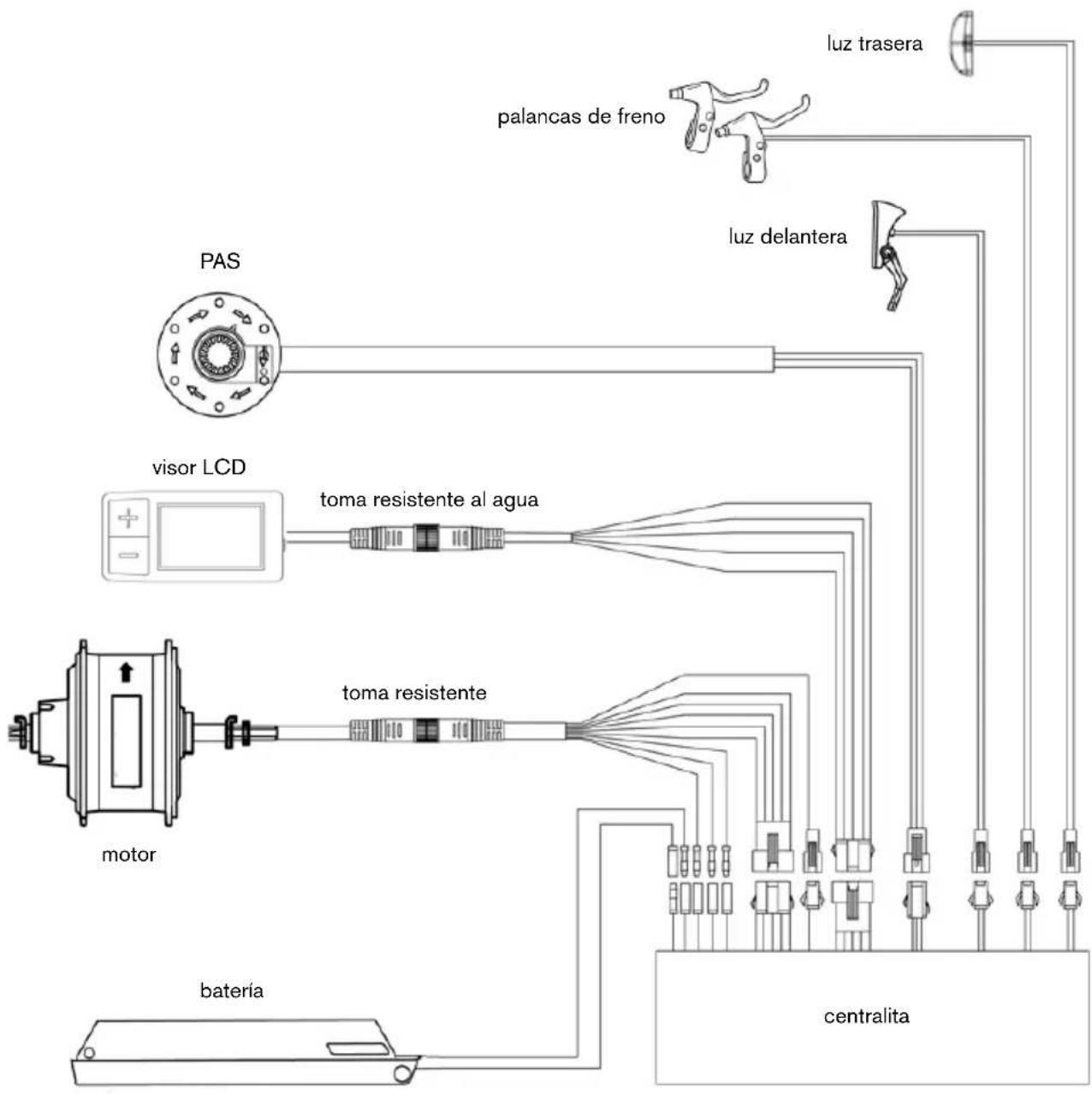 Argento Omega - Diagrama de conexiones - 1