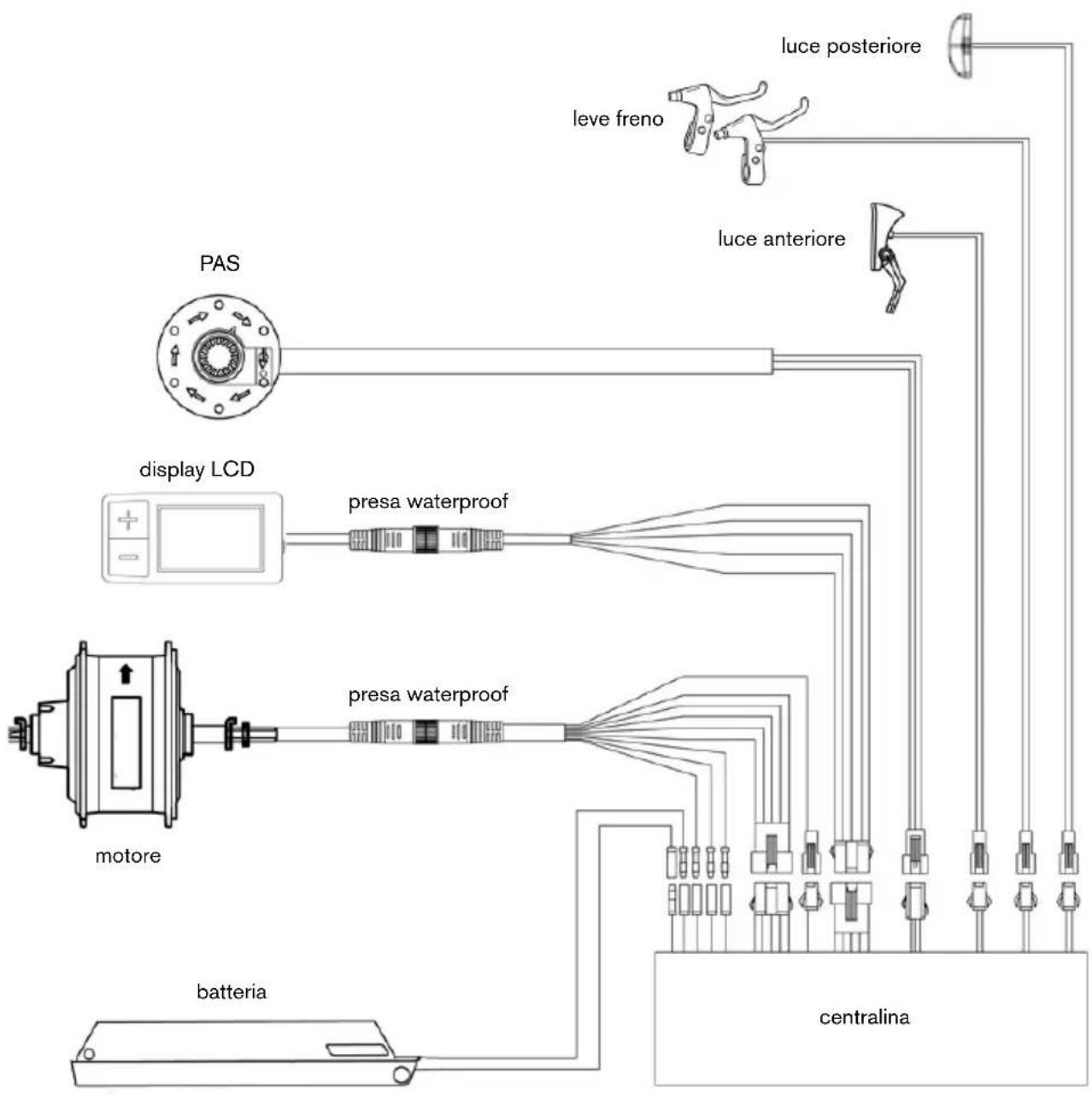 Argento Omega - Diagramma connessioni - 1