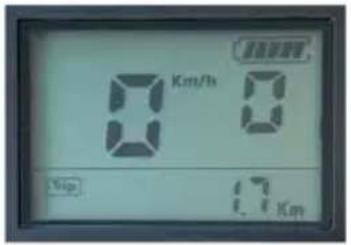 Argento Omega - Pedalata assistita (PAS) - 1