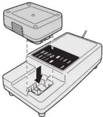 PANASONIC EYFEA1N - Batterioplader - 1