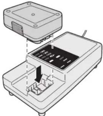 PANASONIC EYFEA1N - Chargeur de batterie - 1