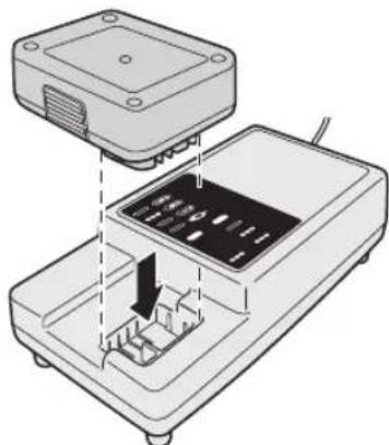 PANASONIC EYFEA1N - Battery charger - 1