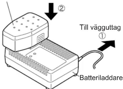 PANASONIC EY6950 - LADDNING - 1
