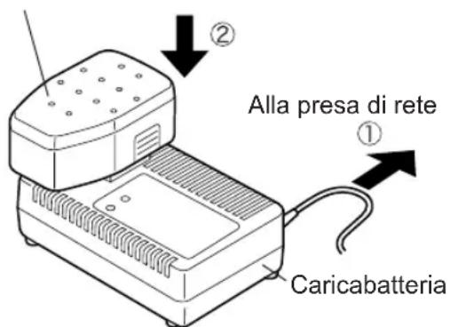 PANASONIC EY6950 - Pacco batteria - 1