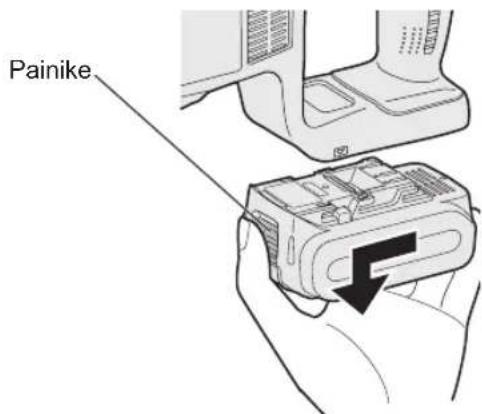Painike