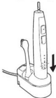 PANASONIC EWDL40 - Depozitarea 山 incarcarea periutei de dinti - 2