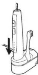 PANASONIC EWDL40 - Brosse - 1