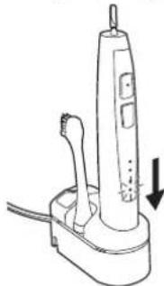 PANASONIC EWDL40 - Opbevaring og opladning af tandbørsten - 5