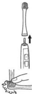 PANASONIC EWDL40 - Brush - 1