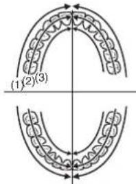 PANASONIC EWDL40 - Uso del cepillo de dientes - 5